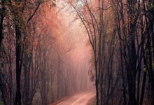 关于国王杯倒计时，布鲁克林篮网今夜主帅复盘，细节引发关注，质疑声仍在，纪律约束更严格的信息-爱游戏网页版