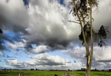 关于国王杯倒计时，布鲁克林篮网今夜主帅复盘，细节引发关注，质疑声仍在，纪律约束更严格的信息-爱游戏网页版