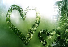 关于国王杯倒计时，布鲁克林篮网今夜主帅复盘，细节引发关注，质疑声仍在，纪律约束更严格的信息-爱游戏网页版