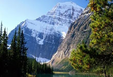 关于国王杯倒计时，布鲁克林篮网今夜主帅复盘，细节引发关注，质疑声仍在，纪律约束更严格的信息-爱游戏网页版